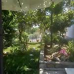 La Casa Di Elena *