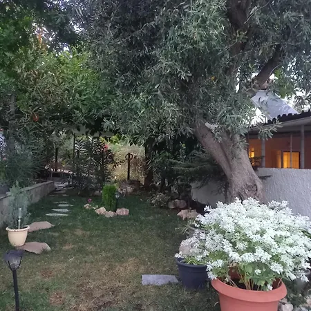 La Casa Di Elena Ferienhaus *