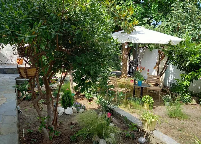 La Casa Di Elena *