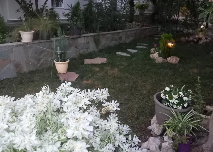 La Casa Di Elena بيت للعطل