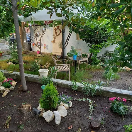 La Casa Di Elena *