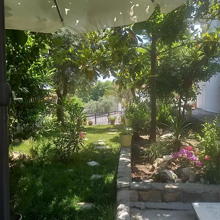 La Casa Di Elena *