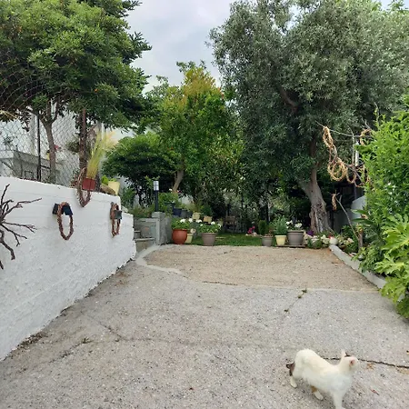 La Casa Di Elena בית נופש