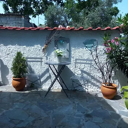 La Casa Di Elena * プラタモナス