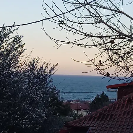 度假居 La Casa Di Elena 帕拉塔蒙
