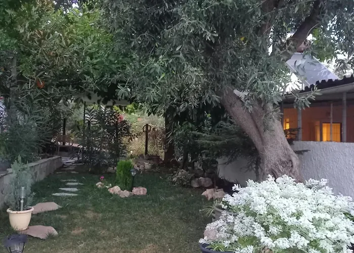 La Casa Di Elena Сasa de vacaciones *